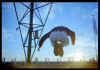 Michiel van Bakel - Hovering over wasteland